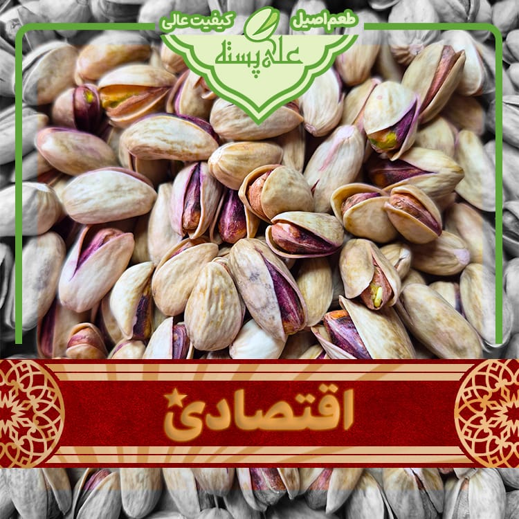 مخلوط خام اقتصادی پسته مخلوط خام اقتصادی - تصویر 1